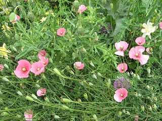 Great Dixter